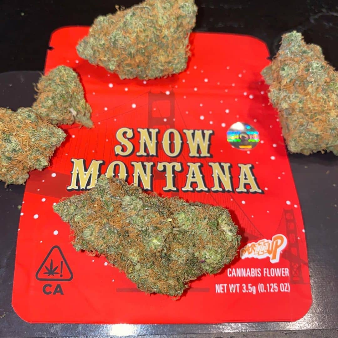 Snow Montana weed strain