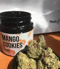 buy Mango Cookies Strain