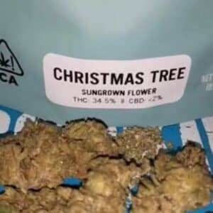 buy Christmas trees strain