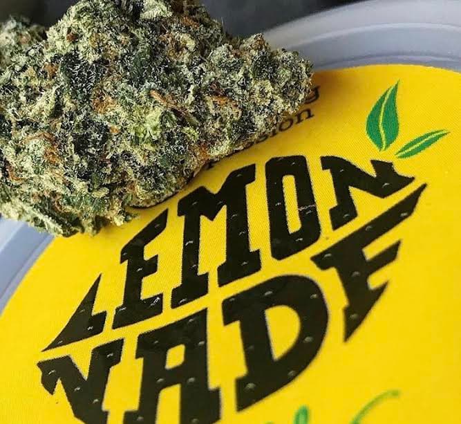 buy LemonAde weed strain